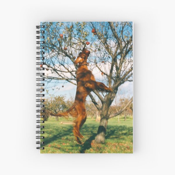 anyone for an apple Spiral Notebook