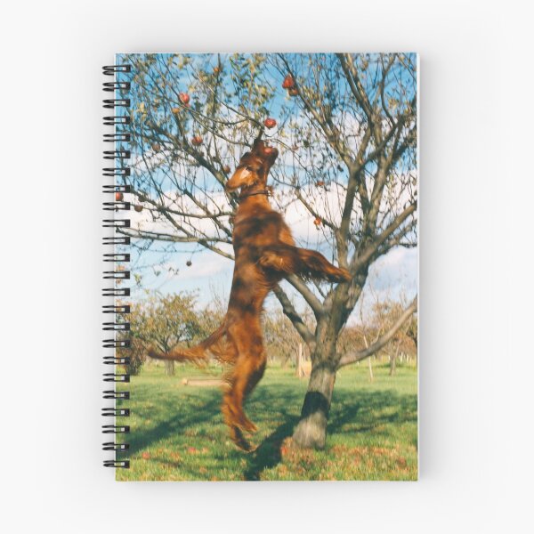 Item preview, anyone for an apple designed and sold by (Tallow) Dave  Van de Laar.