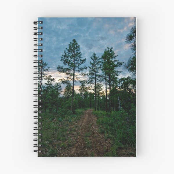 Item preview, Forest Path designed and sold by Modified.