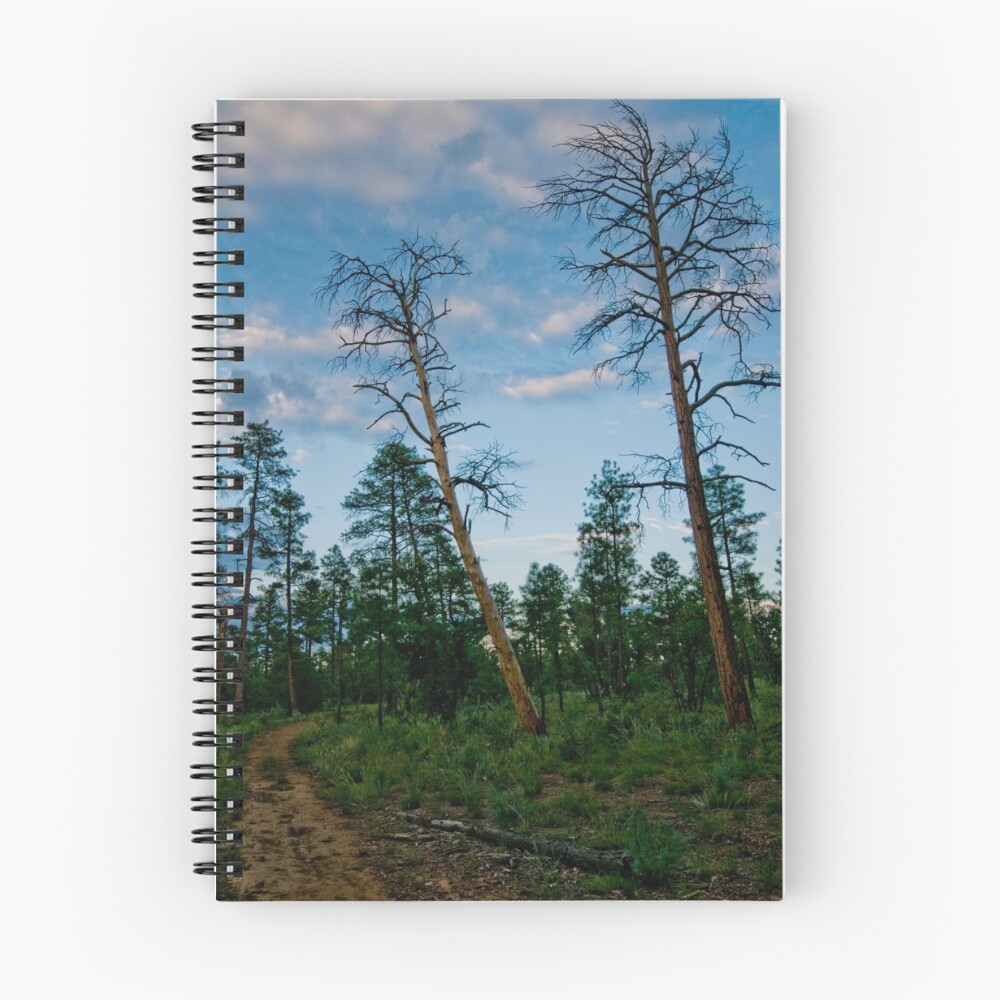 Item preview, Spiral Notebook designed and sold by Modified.