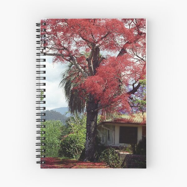 Item preview, Illawarra Flame Tree - Murwillumbah, NSW  Australia designed and sold by Bev Pascoe.