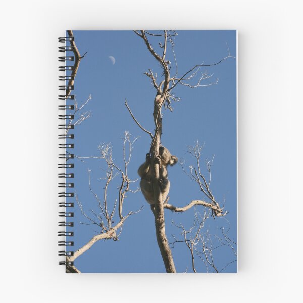 Item preview, Koala - Nights and Daze designed and sold by Lefever.