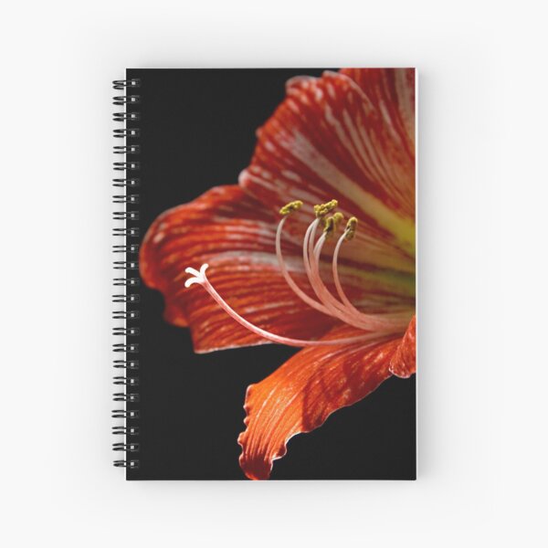 Sticky Fingers Spiral Notebook