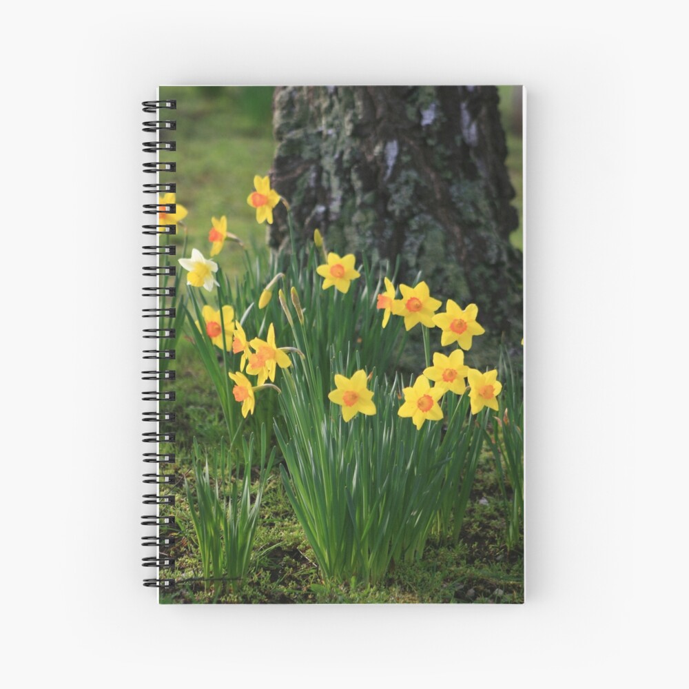 Item preview, Spiral Notebook designed and sold by wootton60.
