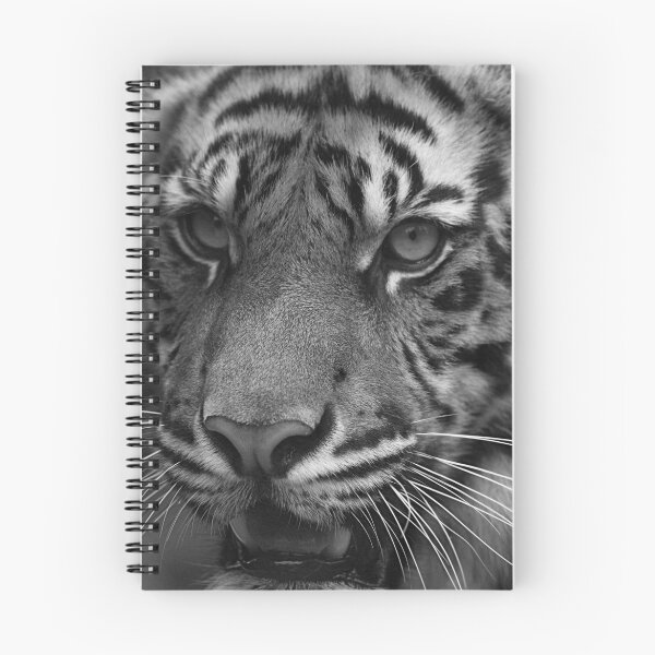 Item preview, tiger designed and sold by GabrielK.