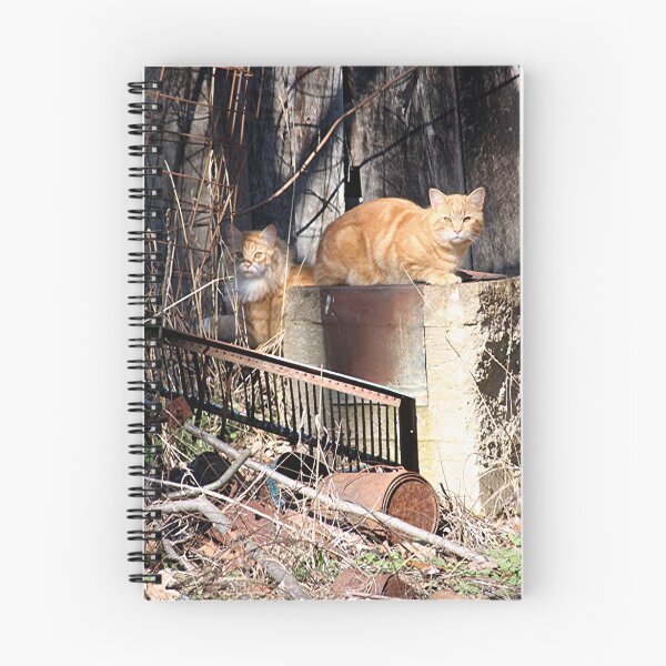 Item preview, A Couple of Beauties designed and sold by Lori Walton.