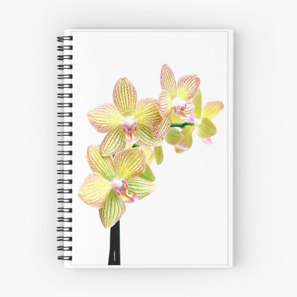 Artikelvorschau, Golden Spray entworfen und verkauft von orchiddesign.