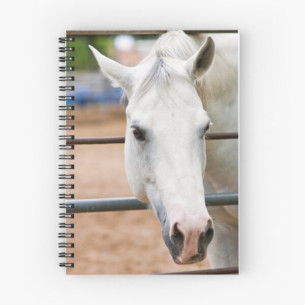 Artikelvorschau, Why the Long Face entworfen und verkauft von Modified.