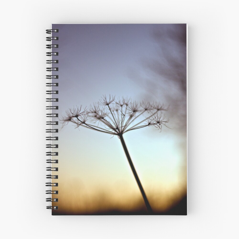 Vista previa del artículo con la obra «Cuaderno de espiral», diseñado y vendido por jonbaxter.