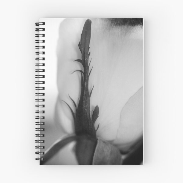 Item preview, Rose Petal designed and sold by Jarede Schmetterer.