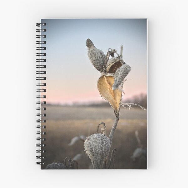 Item preview, Milkweed Pods designed and sold by Patrick Hickey.