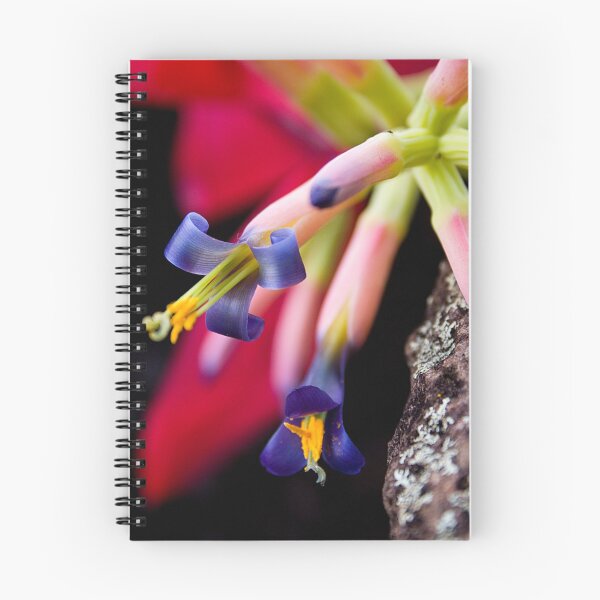 Item preview, Bromeliad designed and sold by Steve Chapple.