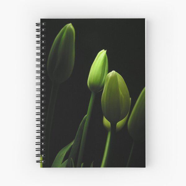 Item preview, green designed and sold by Gaspare De Stefano.