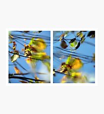 Another Day Goes By - Diptych Photographic Print