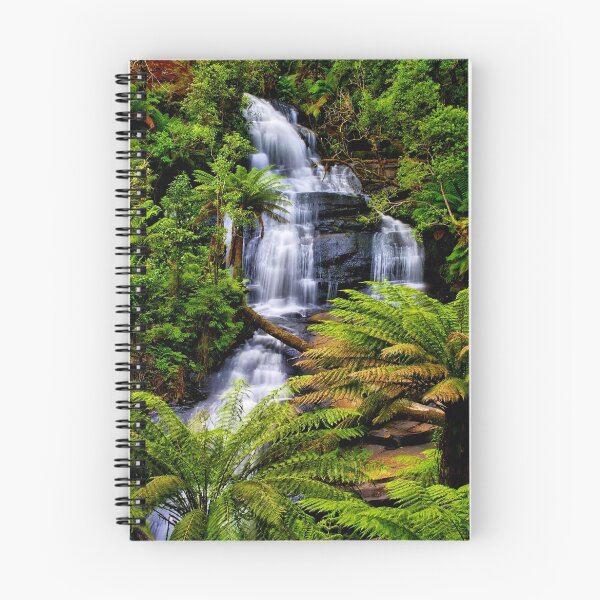Item preview,  en medio de la selva tropical en el Parque Nacional Great Otway designed and sold by Phil Thomson.