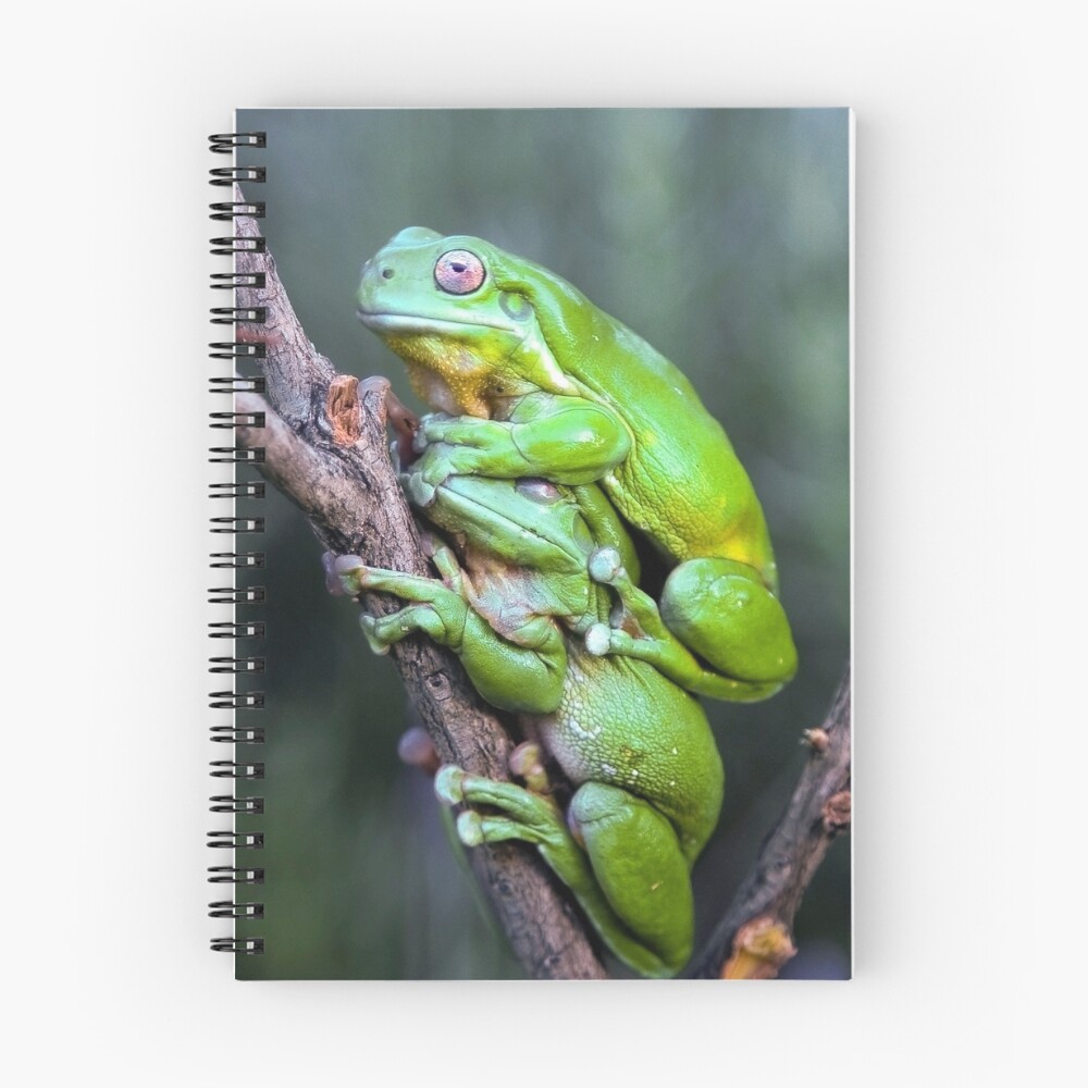Item preview, Spiral Notebook designed and sold by robst.