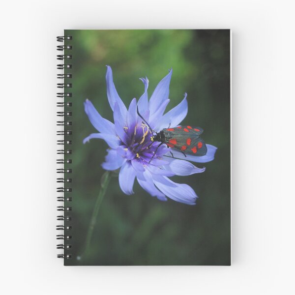 Item preview, Butterfly designed and sold by Etienne RUGGERI Artwork.