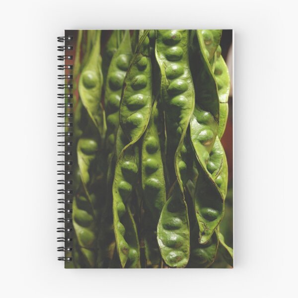 Artikelvorschau,  Sie mögen vielleicht andere.
  
Schau dir meine grüne Welt an !!
  
 
 ! http: //images-2.redbubble.net/img/art/cropped/size: xsmall / view: main / 2562663-2-cabbage.jpg !: http: //www.redbubble.com/people/etienne- ruggeri / art / 2562663-2-cabbage! entworfen und verkauft von Etienne RUGGERI Artwork.
