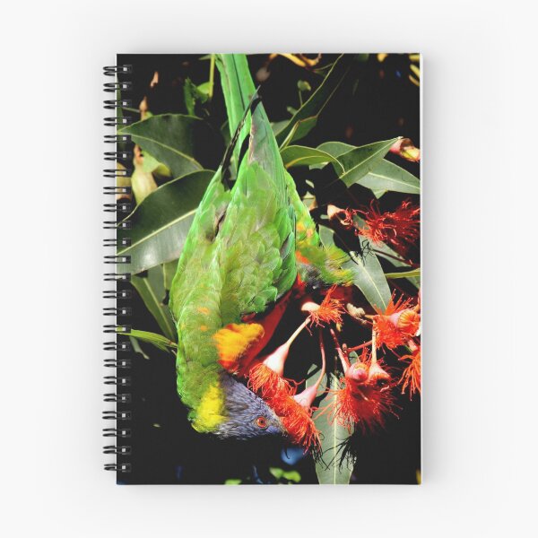 Item preview, Rainbow Lorikeet designed and sold by margotk.