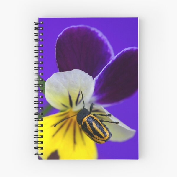 Item preview, Pansy Playtime designed and sold by Debbie Steer.