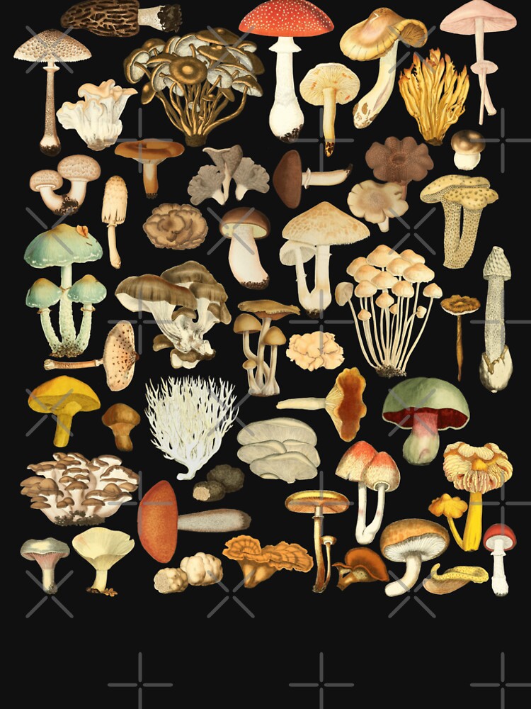 "Mushroom Lover Botanical Fungi Plants Morel Psychedelic Mushroom