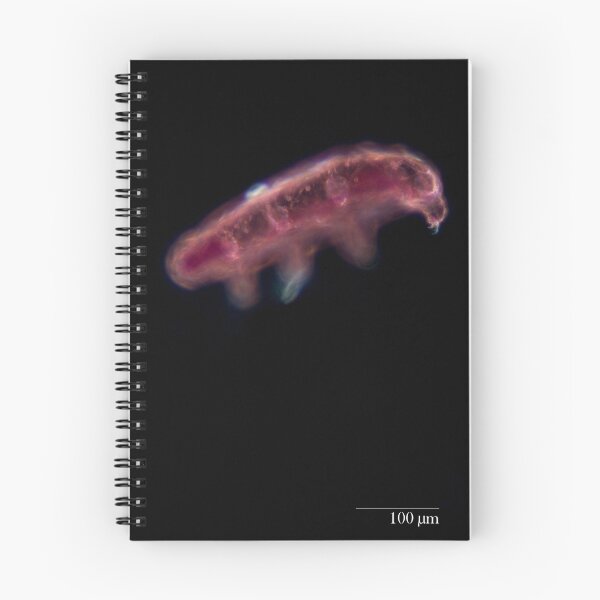 Item preview, Tardigrade (Water Bear) Darkfield designed and sold by Douglas Gaston IV.