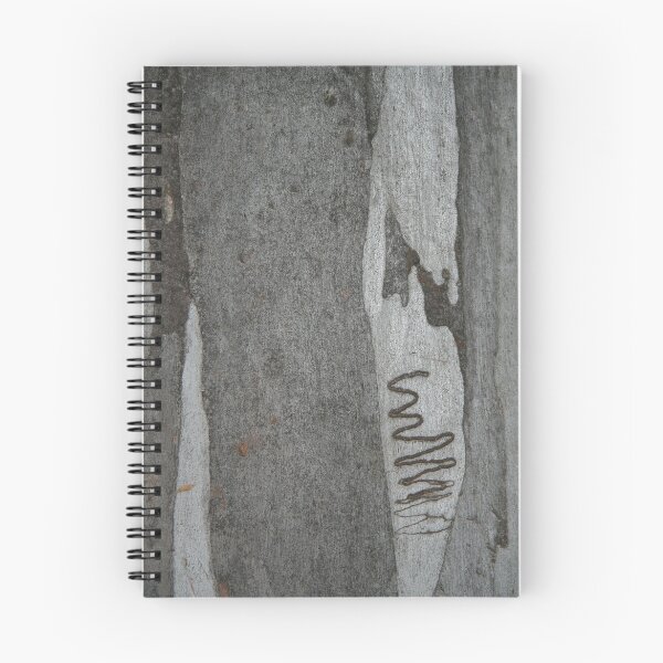 Item preview, Scribbly Gum 2 designed and sold by Martin How.