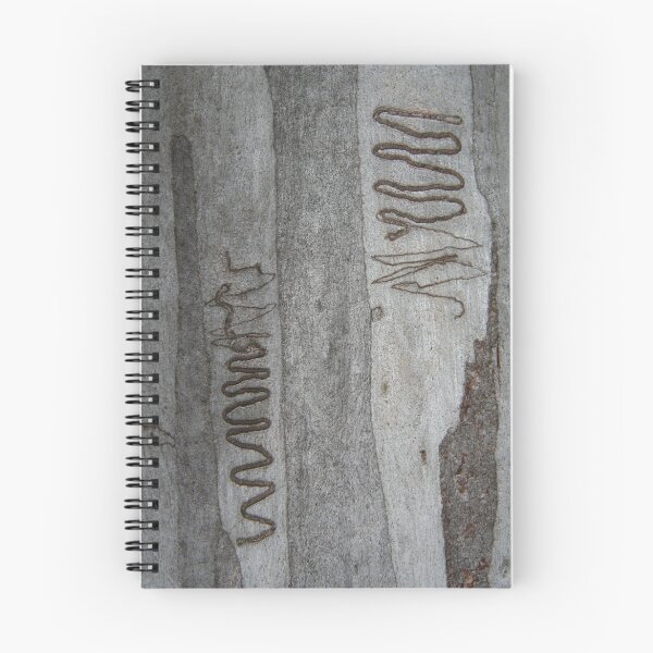 Item preview, Scribbly Gum 3 designed and sold by Martin How.