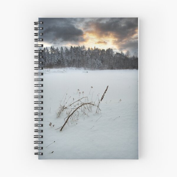 Item preview, first snow designed and sold by Bill vander Sluys.