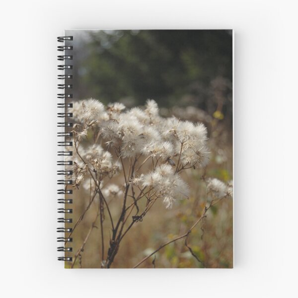 Item preview, Mountain thistle designed and sold by MKCn.