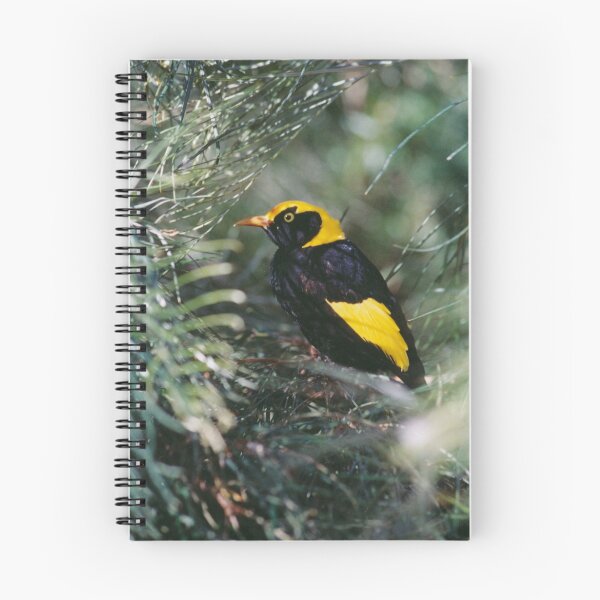 Item preview, Regent Bowerbird designed and sold by smallan.