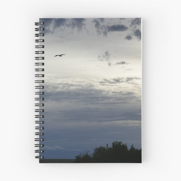 Item preview, flight - at Strahan, Tasmania designed and sold by Gaylene Norton.