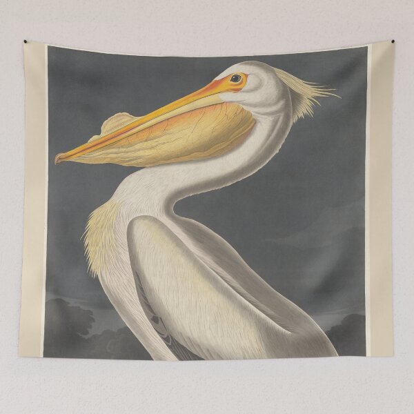 Item preview, Vintage Illustration of a White Pelican (1836) designed and sold by BravuraMedia.