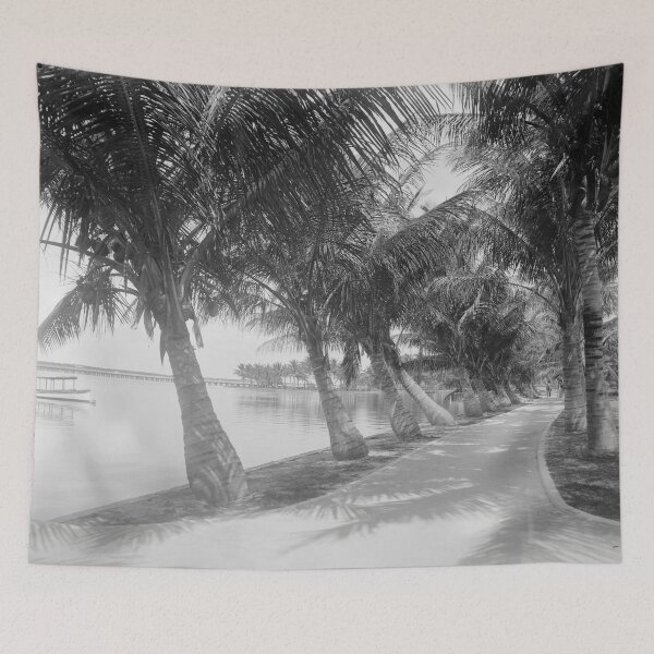 Item preview, Vintage Palm Tree Beach Trail Photograph (1900) designed and sold by BravuraMedia.