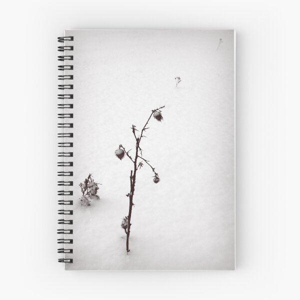 Item preview, thistle designed and sold by Bill vander Sluys.