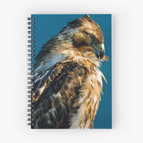 Item preview, Galápagos Hawk
 designed and sold by Anthony Begovic.