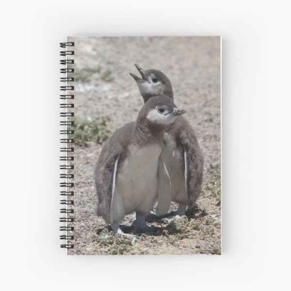 Magellanic Penguin chicks Spiral Notebook
