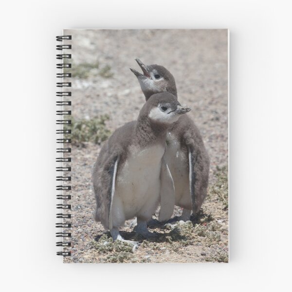 Item preview, Magellanic Penguin chicks designed and sold by David Burren.