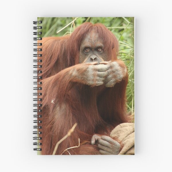 Item preview, Orang Utan designed and sold by margotk.