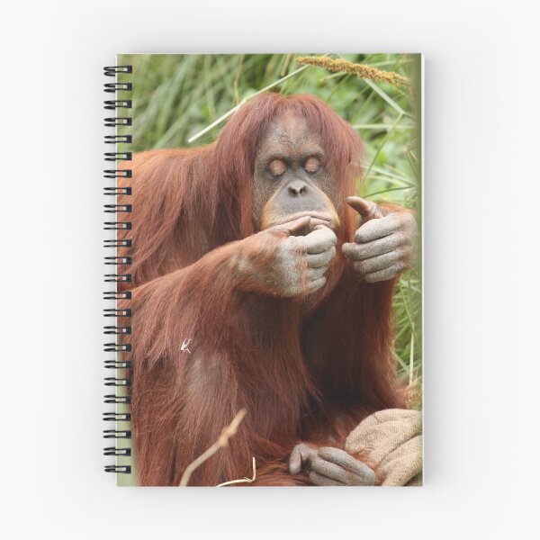 Item preview, Orang Utan designed and sold by margotk.