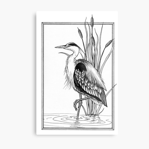Great blue heron and cattail ink illustration Metal Print