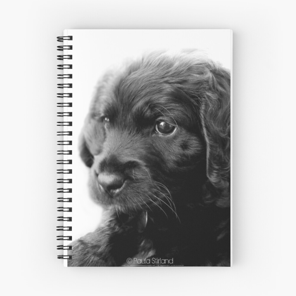 Item preview, Spiral Notebook designed and sold by Gozza.