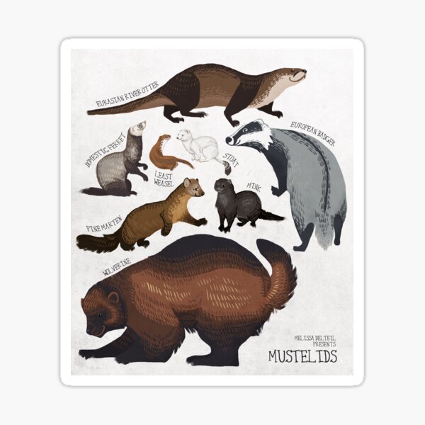 Item preview, Mustelids designed and sold by Melissa Delteil.