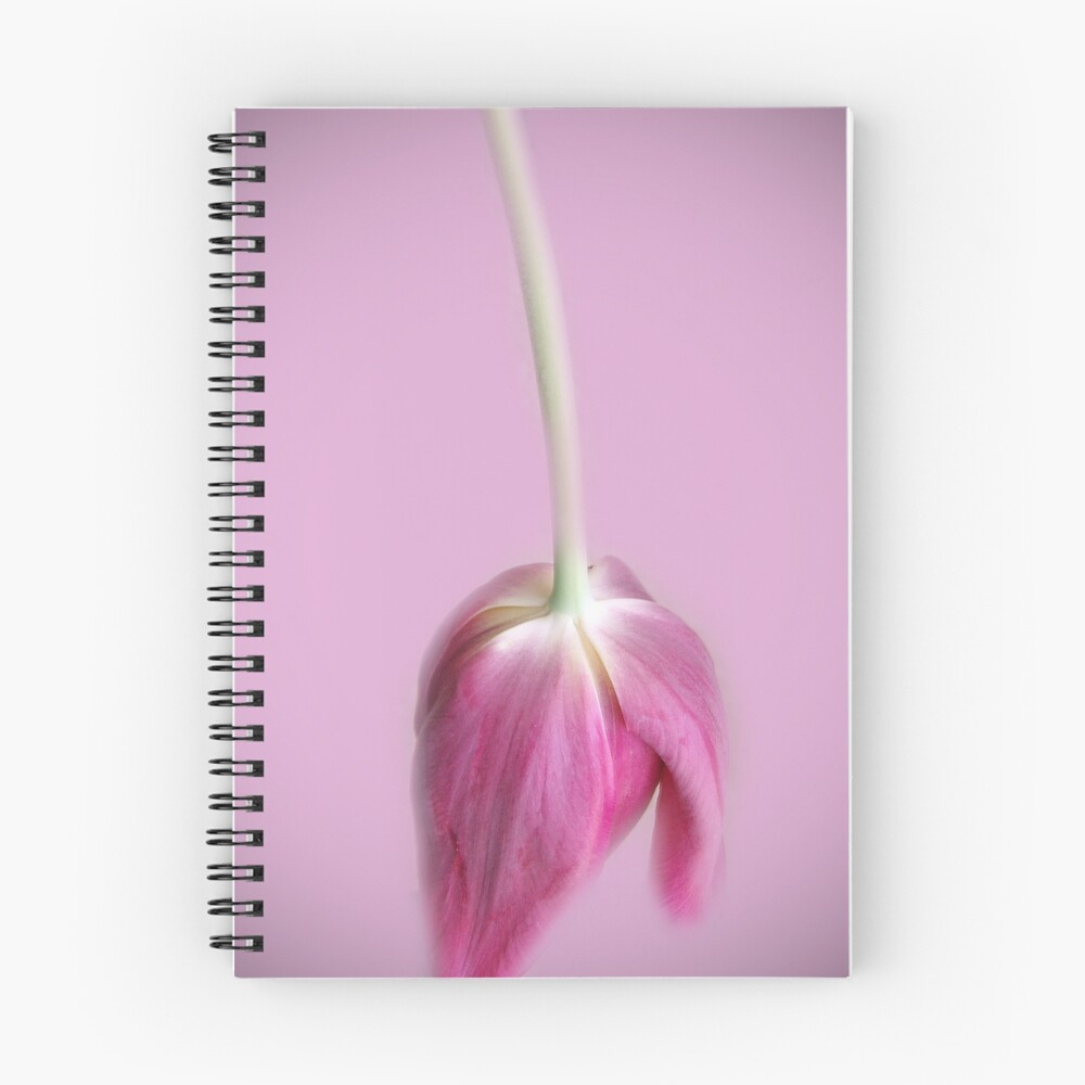 Vista previa del artículo con la obra «Cuaderno de espiral», diseñado y vendido por cnik.