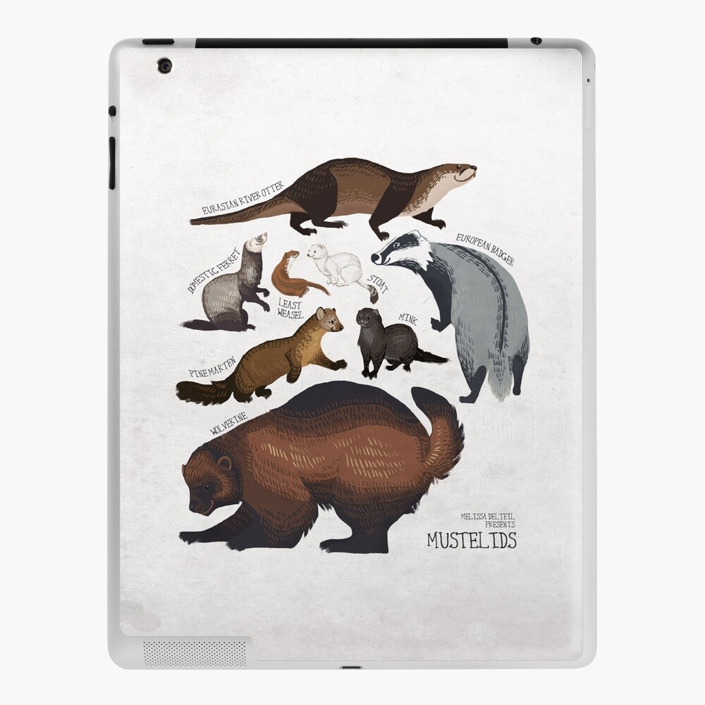 Mustelids Mustelids