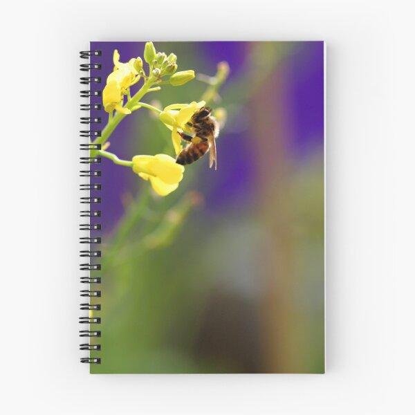 Item preview, Hungry Bee designed and sold by Debbie Steer.