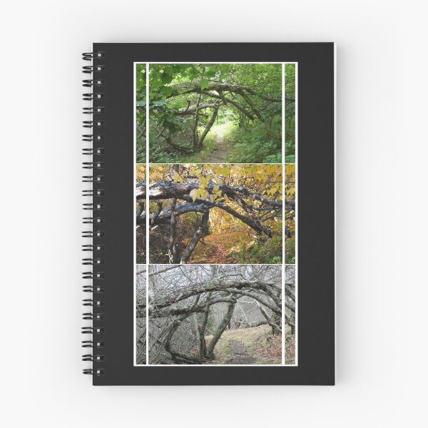 Item preview, Seasons designed and sold by Elizabeth "Tibby" Steedly.
