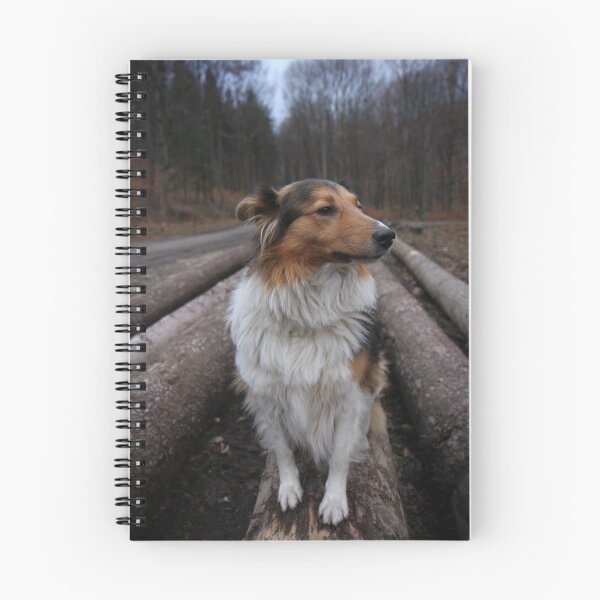 Item preview, Look at me! I'm so pretty! designed and sold by Kasia Fiszer.