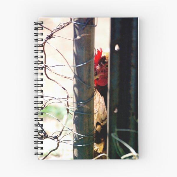 Item preview, Eye Spy designed and sold by Tamara  Kenneally.