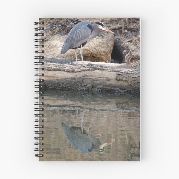 Item preview, Evening Reflection designed and sold by JWallace.